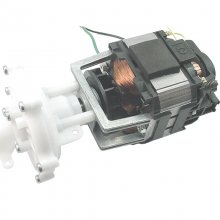 Redring pump/motor assembly (93797636)