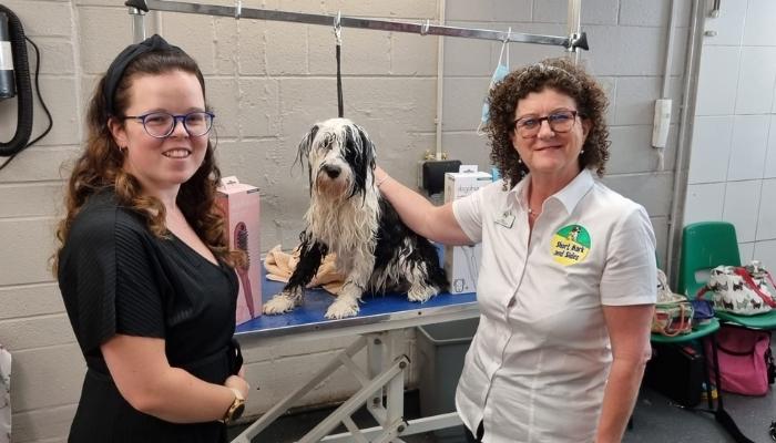 hansgrohe DogShower a hit at Cheltenham Animal Shelter! image 1