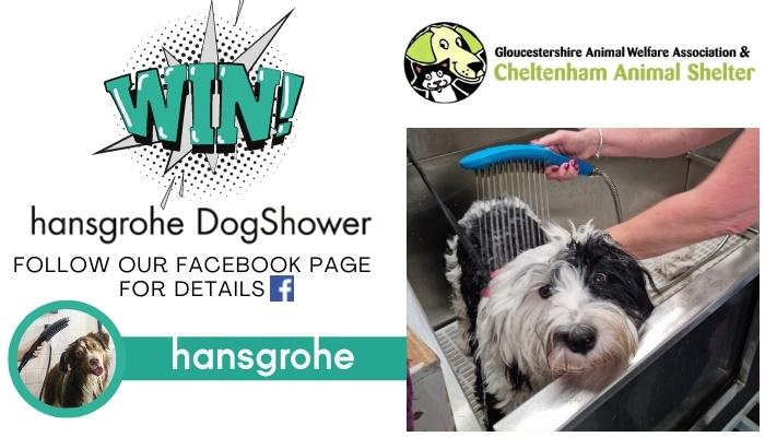 hansgrohe DogShower a hit at Cheltenham Animal Shelter! article thumbnail