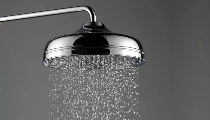 Simple and Efficient: Mira Realm Mixer Showers image 2