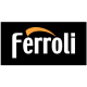View all Ferroli products