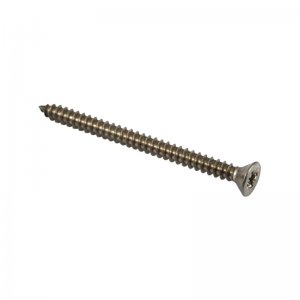 Daryl No.8x2 self tap CSK pozi screw (207285) - main image 1