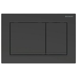 Geberit Omega30 Dual Flush Plate - Matt Black (115.080.16.1) - main image 1