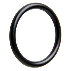 hansgrohe O-Ring 17x2mm (98199000) - main image 1