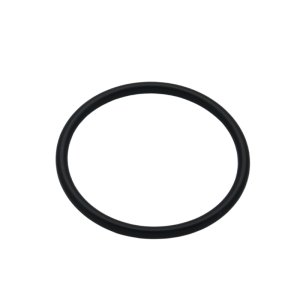 hansgrohe O-Ring - 20x1.5mm (98197000) - main image 1