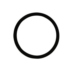 hansgrohe O-ring 30 x 2.5 (98151000) - main image 1