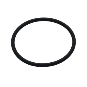 Hansgrohe O-Ring 30x2mm (98186000) - main image 1