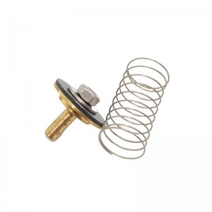 Meynell Safemix check valve, clack and spring (SPVE0010J) - main image 1