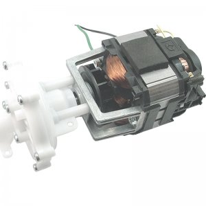 Redring pump/motor assembly (93797636) - main image 1