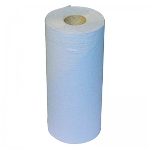Regin heavy duty blue paper towel roll - 100 sheets (REGW80) - main image 1