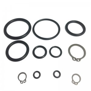 Ultra o'ring kit (SASFOR) - main image 1