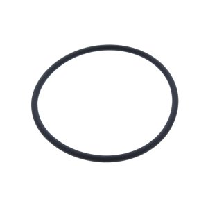 Worcester Bosch Pipe Flue Gas Seal (873791300A0) - main image 1