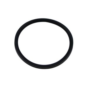Worcester Bosch Seal - 100mm x 8mm (87161116730) - main image 1