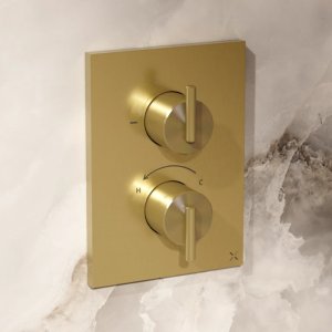 Crosswater Crossbox 3ONE6 Single Outlet Trimset - Brushed Brass (TLCB1000LBPSF) - main image 2