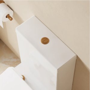 Crosswater Push Button for Close Coupled WC - Brushed Bronze (WCBUTTONBZ) - main image 2