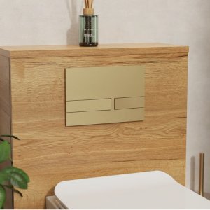 Crosswater Venue Flush Plate - Brushed Brass (VENFLUSHF) - main image 2