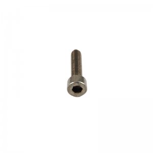 Daryl M4x16 screw - stainless steel (206653) - main image 2