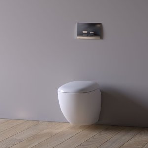 Geberit Delta25 Dual Flush Plate - Gloss Chrome (115.135.21.5) - main image 2