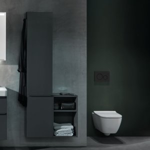 Geberit Sigma20 Dual Flush Plate - Black (115.882.DW.1) - main image 2