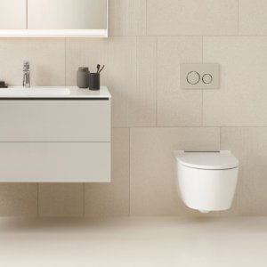 Geberit Sigma21 Dual Flush Plate - Sand Grey / Chrome (115.884.JL.1) - main image 2