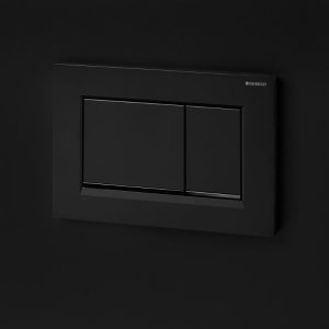 Geberit Sigma30 Dual Flush Plate - Matt Black (115.883.16.1) - main image 2