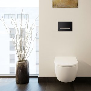 Geberit Sigma50 Dual Flush Plate - Chrome / Black (115.788.DW.2) - main image 2