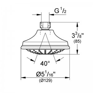 Grohe Euphoria Rustic 130 swivel shower head (28737000) - main image 2