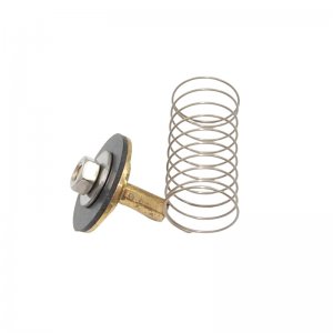 Meynell Safemix check valve, clack and spring (SPVE0010J) - main image 2