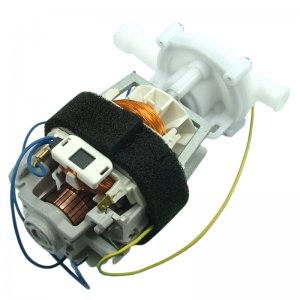 Newteam pump/motor assembly (SP-087-0110) - main image 2