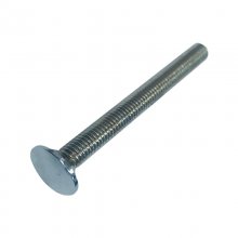 Crosswater concealing plate screw & cap (KRC631CCXN-1)