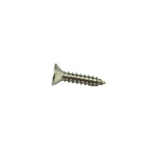 Daryl No.8 x 3/4" self tap pozi screw (200466)