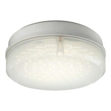 Robus 10W LED Compact Bulkhead Fitting - 4000k (RC100LEDN-01)