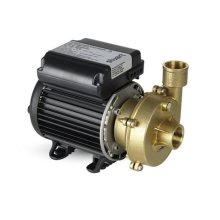 Stuart Turner Stuart CH 9-9 (50Hz) Pump (46374)