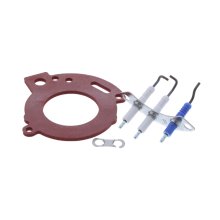 Worcester Bosch Electrode and Gasket (87376007950)