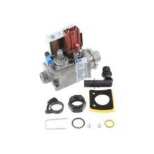Z87161113250 Gas Valve (Z87161113250)
