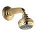 Aqualisa Varispray fixed head - gold (99.50.04) - thumbnail image 1
