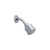 Trevi Outline BIR fixed overhead shower head - chrome (L6706AA) - thumbnail image 1