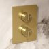 Crosswater Crossbox 3ONE6 Dual Outlet Trimset - Brushed Brass (TLCB1500LBPSF) - thumbnail image 2