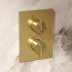Crosswater Crossbox 3ONE6 Single Outlet Trimset - Brushed Brass (TLCB1000LBPSF) - thumbnail image 2