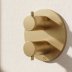 Crosswater Crossbox MPRO Double Outlet Industrial Trimset - Brushed Brass (PRICB1500LBPUB) - thumbnail image 2