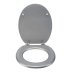 Croydex Silver Quartz Flexi-Fix Toilet Seat (WL601840H) - thumbnail image 2