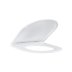 Grohe Essence Toilet Seat - Alpine White (39577000) - thumbnail image 2
