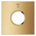 Grohe Grohtherm Aqua Tiles Exchangeable Metal Plate & Symbol - Head Shower 2 - Cool Sunrise (106888GL00) - thumbnail image 2