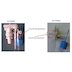 Ideal Standard Conceala 2 Univalve cistern inlet fill valve (SV80367) - thumbnail image 2