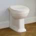 Ideal Standard Seat & Cover - White Finish (U011801) - thumbnail image 2